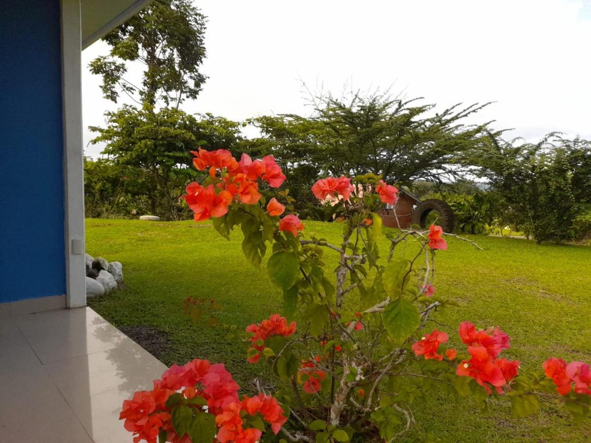 Casa De Campo Heliconia Ла Фортуна Экстерьер фото
